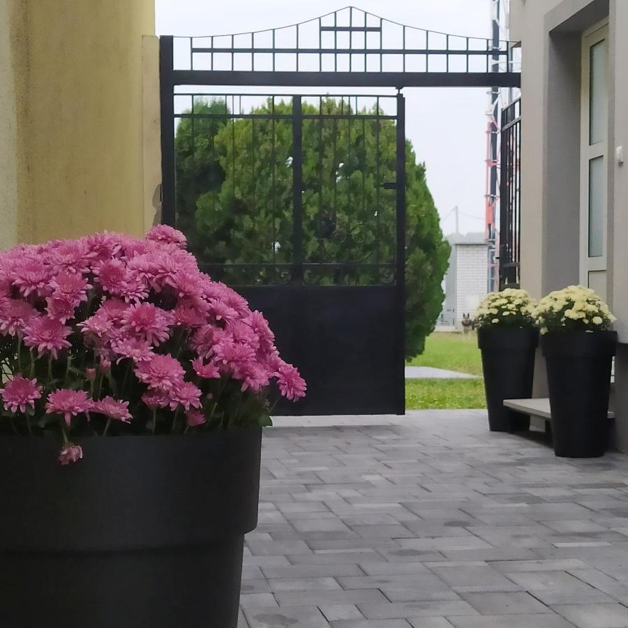 Villa Ponte Pančevo 외부 사진